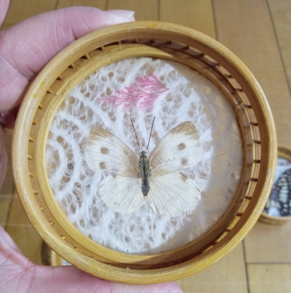 Vintage Decorative Bamboo and Rattan Pressed Butterfly Coasters Set of 4 - Picture 4 of 7